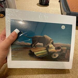 Henri Rousseau x MoMA, Pack of 100 postcards/prints NWT (9.5"x8")